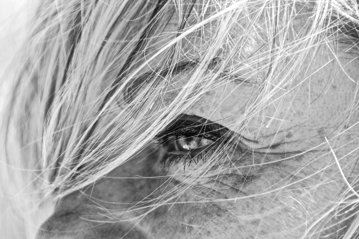 Peter Hohn - Lost in Light — Edition #657